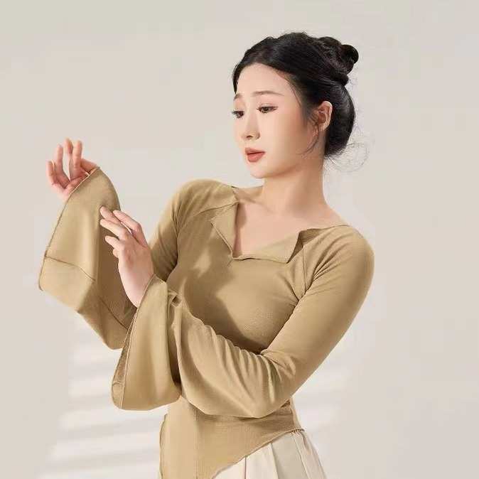 舞蹈服成人古典舞民族舞服身韵纱衣网纱演出服中国舞练功艺考服装
