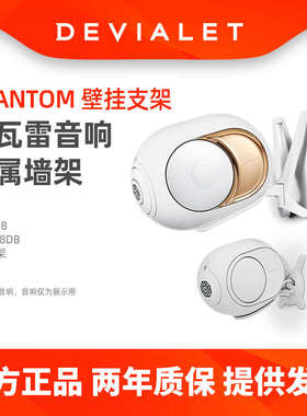 DEVIALET帝瓦雷Gecko音响专用挂墙支架 95/98DB墙架103/108DB壁挂