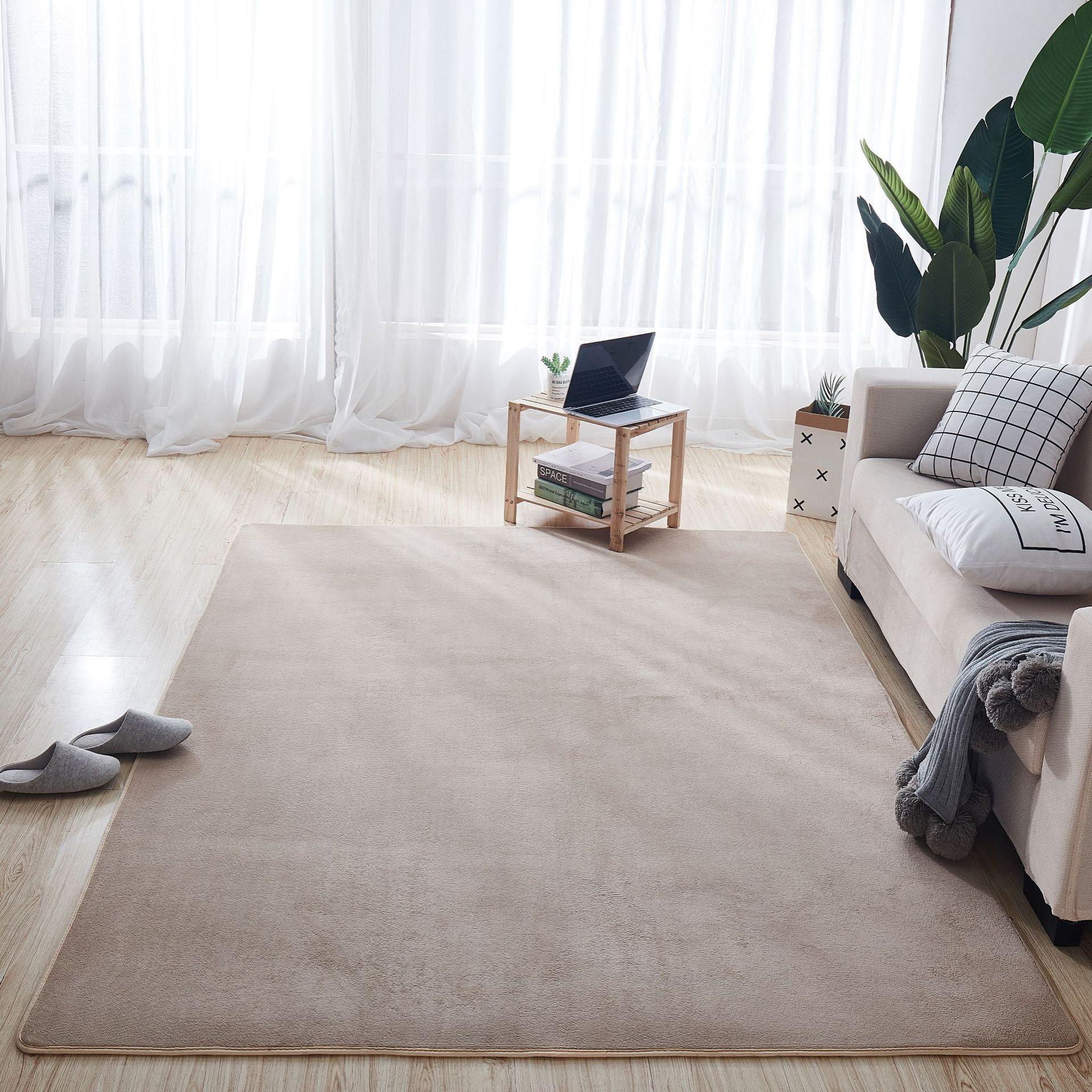 卫生间客厅卧室珊瑚地毯地垫地毯