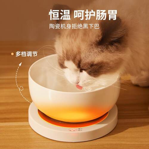新款陶瓷加热碗智能恒温猫咪饮水器宠物猫碗狗碗防干烧跨境