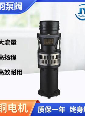 QY250-5-5.5油浸式潜水泵 铸铁国标油浸泵 380v农田灌溉潜水泵