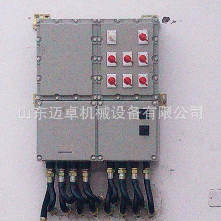 防爆仪表配电箱防爆控制箱防爆正压柜BXM防爆照明箱