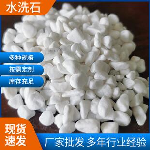 园林景观水洗石白卵石汉白玉水磨石白色鹅卵石景观铺路水洗白石子