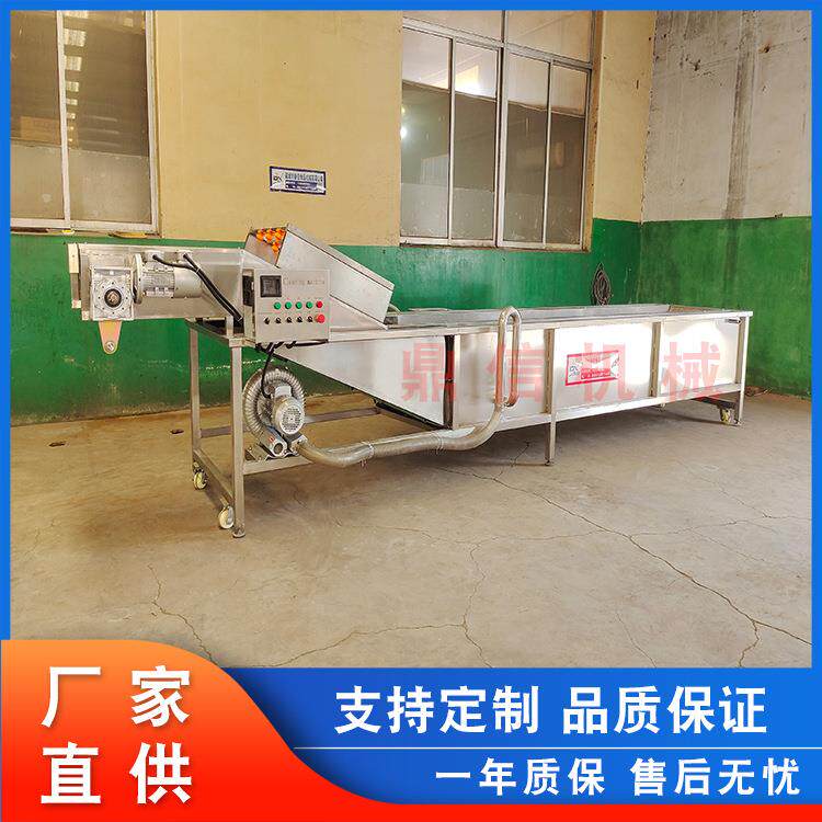 全自动净菜清洗机蓝莓喷淋清洗机连续式清洗设备叶类清洗机