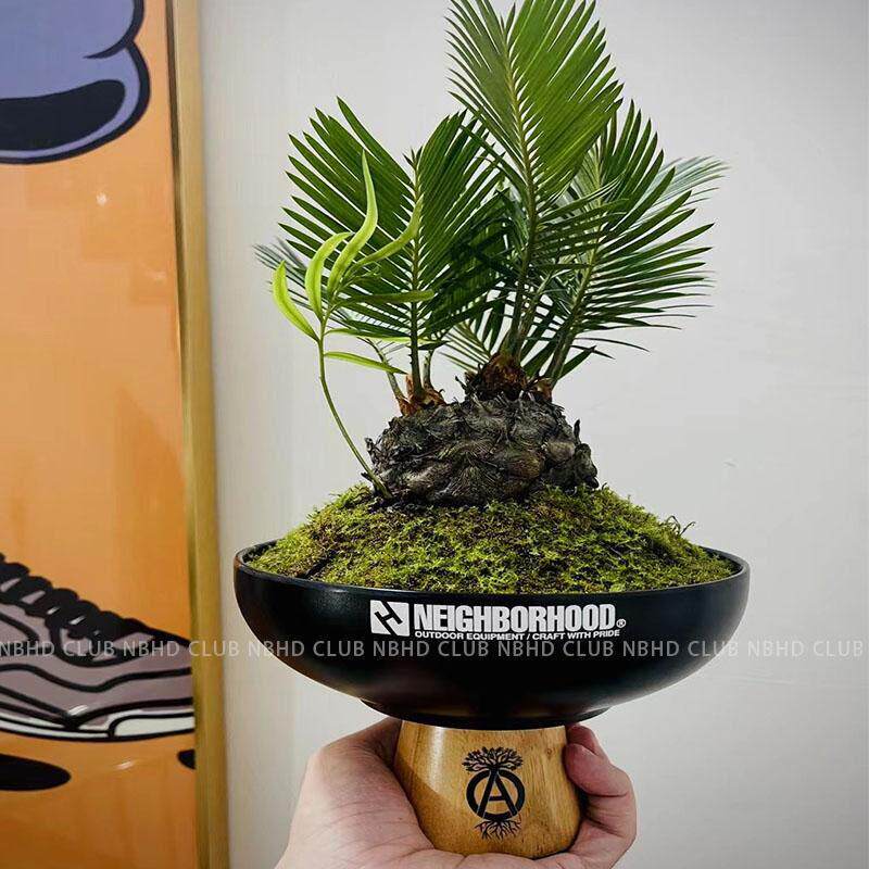 时尚品牌Nbh黑色实木苔藓球植物花盆钥匙托盘入口彷瓷钥匙收纳托