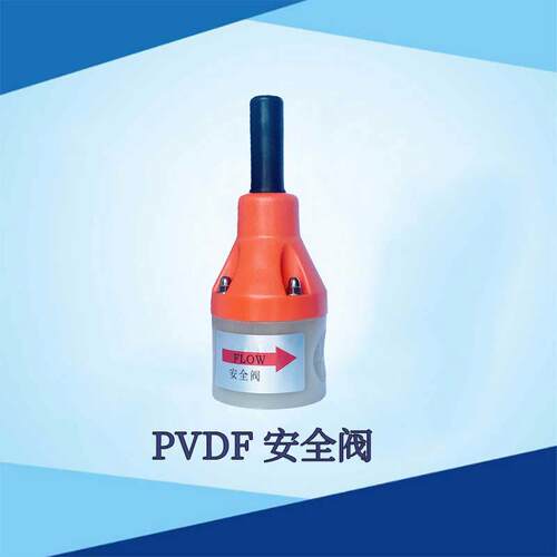 PVDF安全阀内螺纹连接DN32计量泵附件内螺纹连接安全阀背压阀