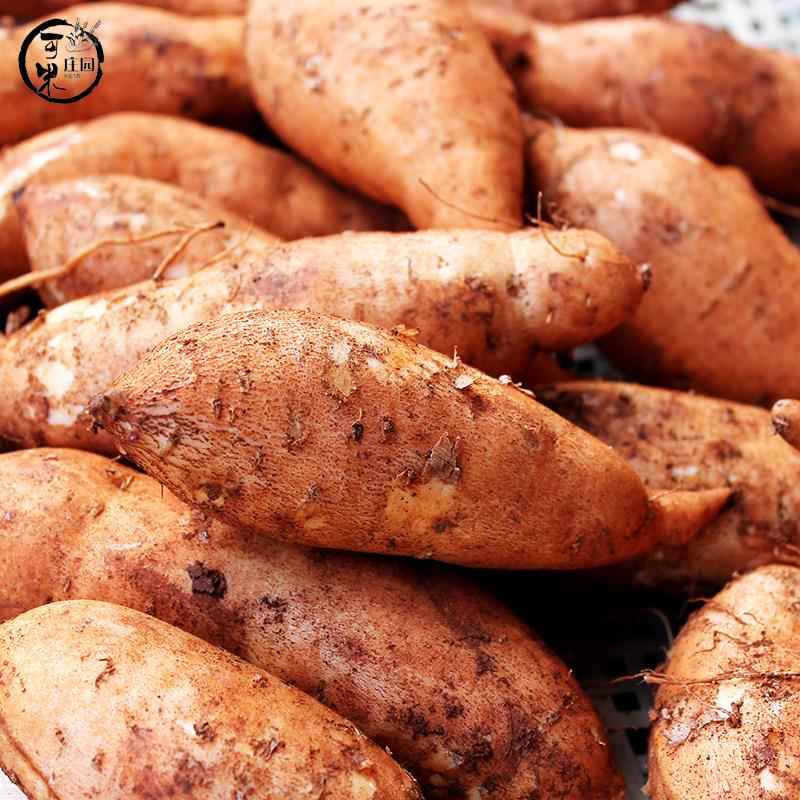 云南黄皮板栗黄金蜜薯红薯9斤现挖新鲜糖心小香薯黄心沙地瓜番薯