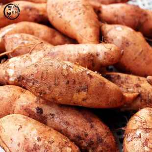 云南黄皮板栗黄金蜜薯红薯9斤现挖新鲜糖心小香薯黄心沙地瓜番薯