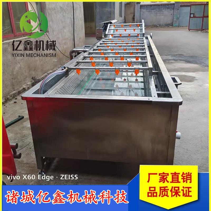 玫瑰花菊花气泡清洗机大姜喷淋式鼓泡清洗机自动提升南瓜清洗机