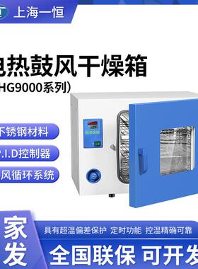 上海一恒烘箱电热鼓风干燥箱DHG-9030A/-9015A/-9013A工业恒温箱