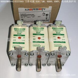 NH1AM69V300 Y227974 熔断器 300A、NH1、aM、690Vac、电动机保护