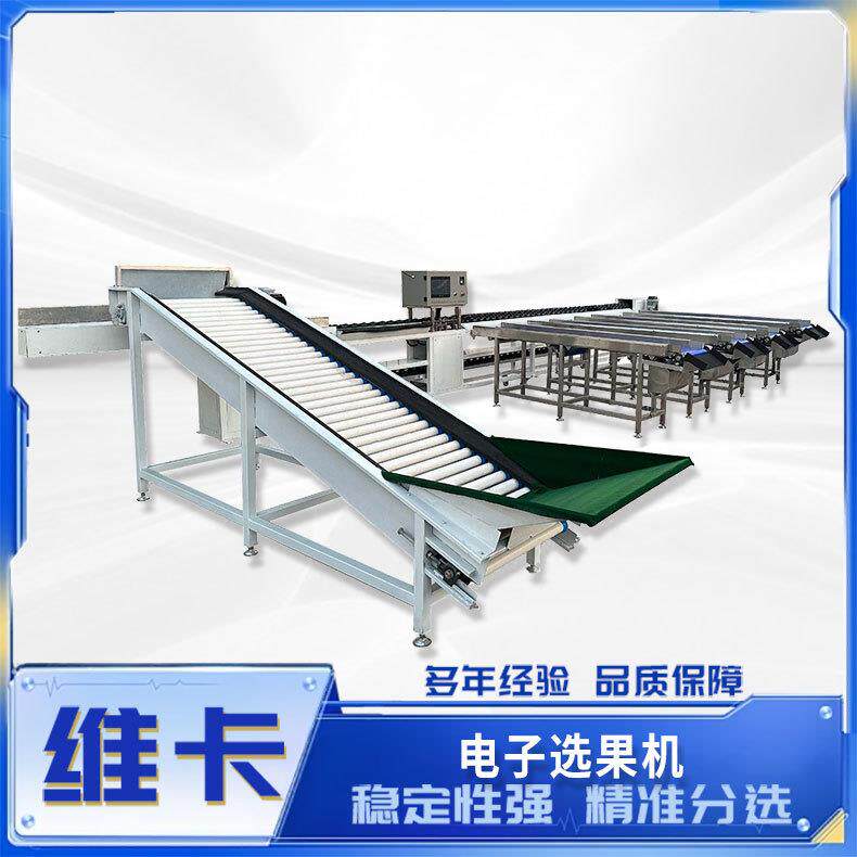 柠檬苹果电子选果机可一机多用百香果火龙称重分选机分级机