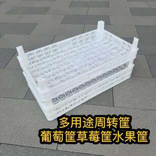 水果运输筐草莓64周转筐多塑料盘子长方形25人加厚收藏筐葡萄