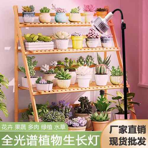 大棚全光谱蔬菜多肉CNM光花水草绿植花物补植物生长补光灯果水草