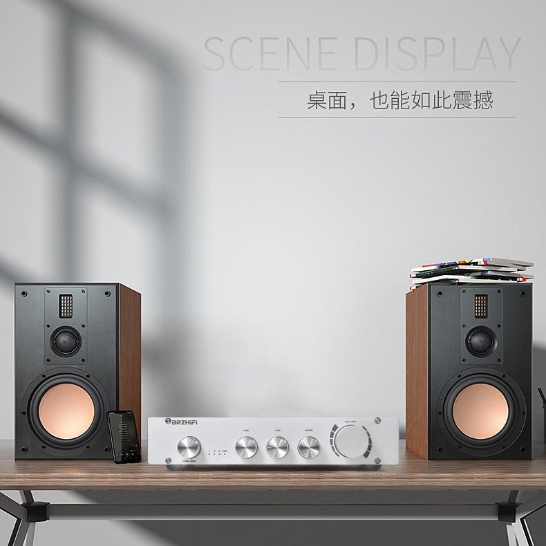 BRZHIFI纯甲类2.0/2.1声道L1音调前级 高中低音调节 蓝牙5.0解码