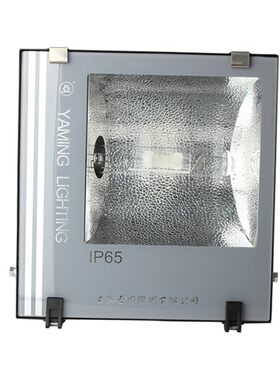 ZY303强光泛光灯250W400W金卤灯钠灯户外防水射灯高杆灯