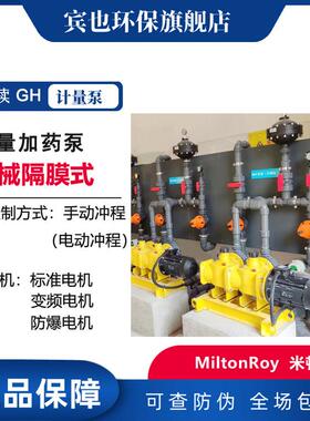 MiltonRoy计量泵GH3000 3600系列机械隔膜泵单头 双头 三头加药泵