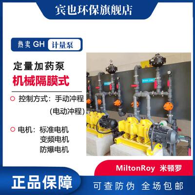 MiltonRoy计量泵GH3000 3600系列机械隔膜泵单头 双头 三头加药泵