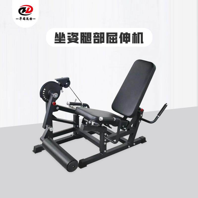 坐姿腿部屈伸机多功能健身器材背肌锻炼器稳固耐用背部腿部椅子