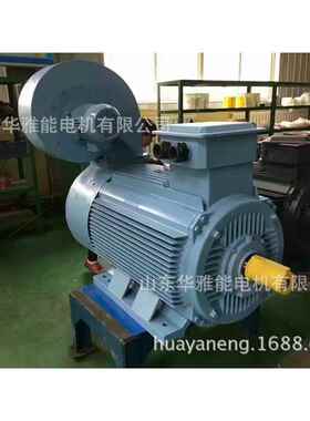 清江IE3-400-8-250KW电机|湘潭IE3-400-8-250KW电机替代方案无忧