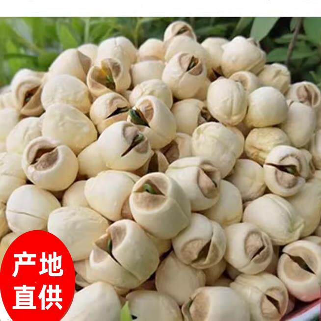 2025新鲜有芯莲子250/500g干货特产无硫农家自产手工广昌带心白莲