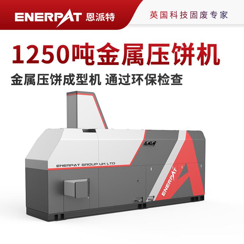 恩派特1250吨金属压饼成型机 通过环保检查 英国技术