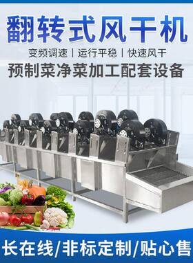 果蔬食品平行风干机大枣翻转沥水风干线包装袋食品全自动风干机