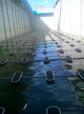 进口65*15DH2020090孔板式曝气器板式橡胶微孔曝气器微孔0曝微气