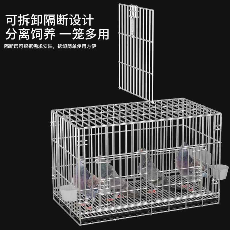 新型养鸽子笼家用大号特专科业铁丝网专用笼子鸡笼养殖笼不锈钢鸭图片
