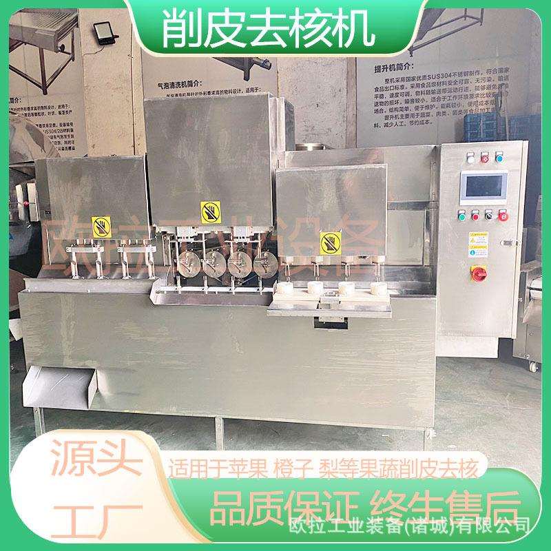 芒果削皮去核设备 全自动去核加工生产线 商用带核水果去皮去核机