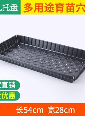 育苗育苗种植平盘无孔加深花瓶