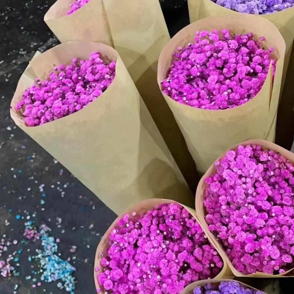 满天星鲜花云南基地直发配花可做干花