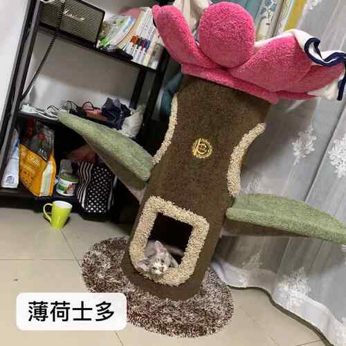 正品薄荷士多a Cily猫树太阳花猫树猫城堡爬猫窝猫爬架猫m玩具定