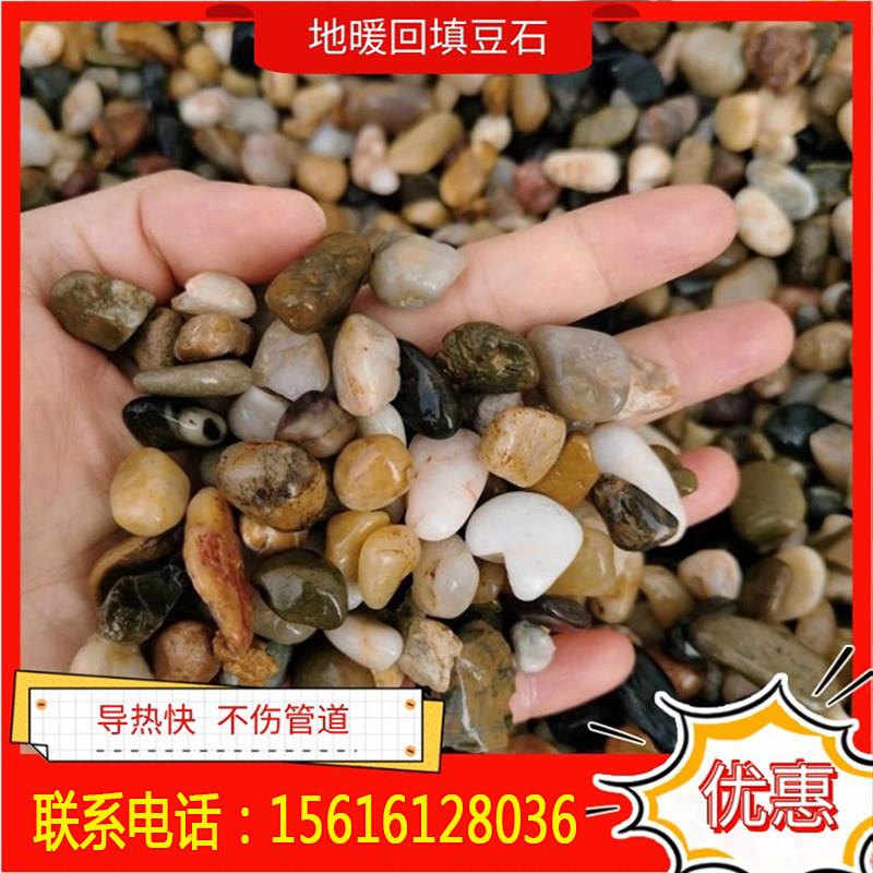 浙江沼泽过滤豆石石头地暖找平回填专用豆石滤料水处理石子