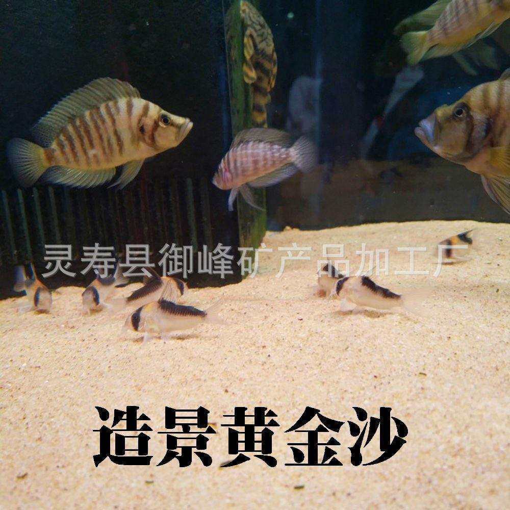 厂家 鱼缸底砂水族造景黄金沙 宠物垫料用黄金沙
