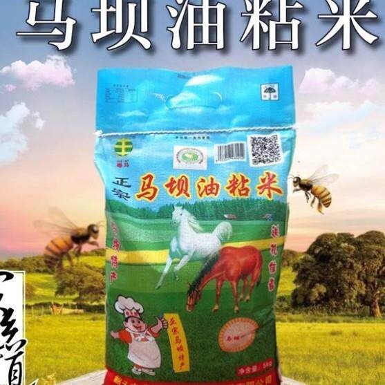 广东韶关正宗马坝油粘米10斤5kg软香大米不抛光农家米2025年新米