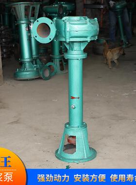NL100-16A泥浆泵 化工无堵塞长管长轴泥浆污水泵