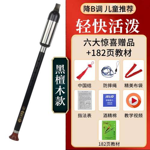 高档音准红木巴乌乐器七黑檀横吹竖吹G巴乌调F调C调木降孔b调专业