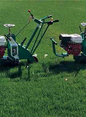 手推式起草皮机小坪自PXQ走燃式油割草机汽油多功能草型坪移植机