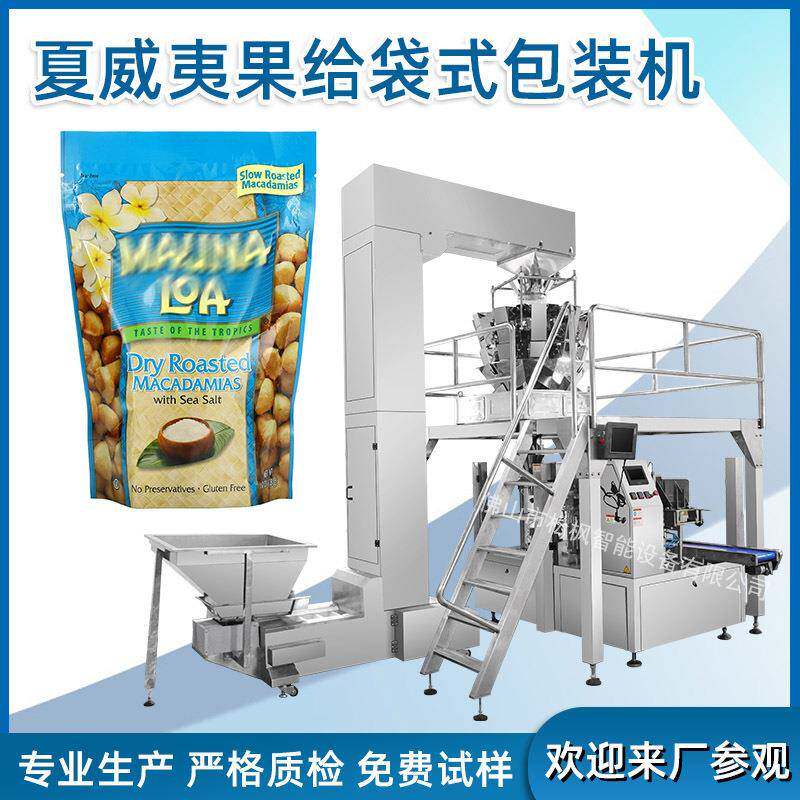 机械全自动坚果自立袋颗粒包装机薯片糖果给袋式包装机