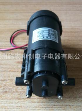 24v530-1低噪音热水循环泵齿轮泵自吸泵耐臭氧水泵增压泵