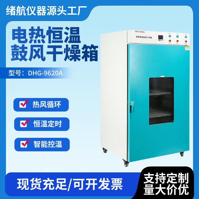 鼓风干燥箱DHG-9620A温数显烘干箱立式电热恒温热风循环干燥箱