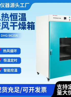 鼓风干燥箱DHG-9620A温数显烘干箱立式电热恒温热风循环干燥箱