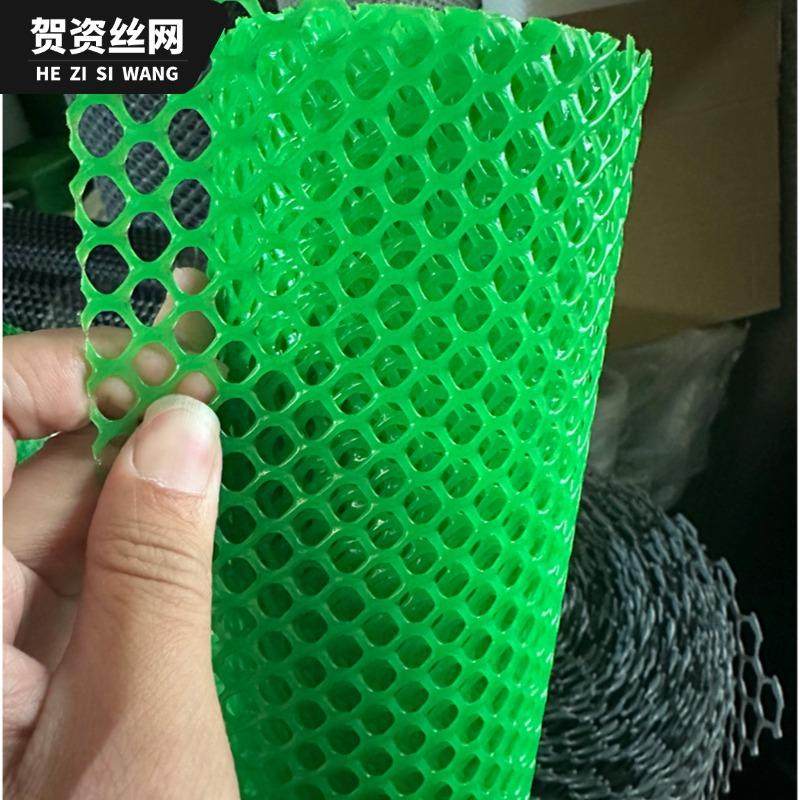 隔离网绿色塑料养殖防护养鸡网