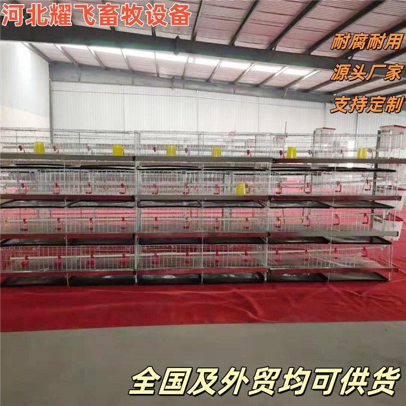 立式育雏鸡小鸡笼笼防锈镀锌加密养殖设备鸡舍养鸡笼厂家供应