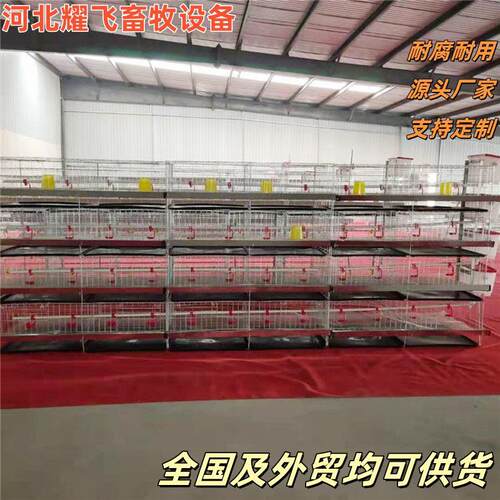 立式育雏鸡小鸡笼笼防锈镀锌加密养殖设备鸡舍养鸡笼厂家供应