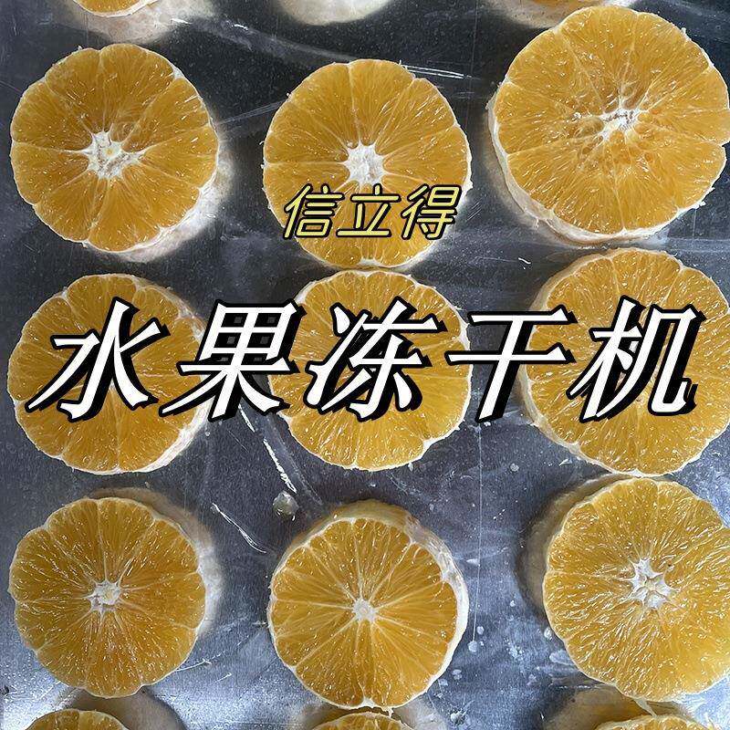 果蔬脆片真空冻干机厂家果冻橙脆片冻干机香橙冻干机