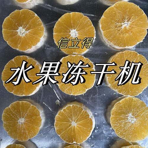 果蔬脆片真空冻干机厂家果冻橙脆片冻干机香橙冻干机