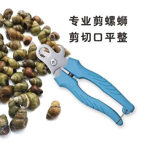 Special tool for cutting the ends of snails without slipping