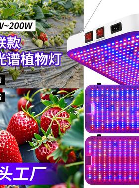 全光谱led植物灯大棚种植植物补光100-277V室内大型绿植仿太阳光